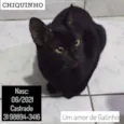 CHIQUINHO