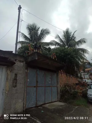 Cachorro raça Viralata idade 1 ano nome Mel/ pipoca