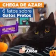 Niguinho