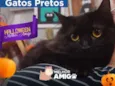 Niguinho