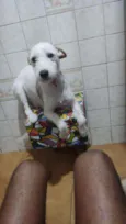 Branquinha