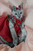 Linda