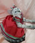 Linda