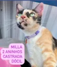 Milla