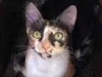 Milla