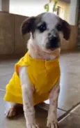 Charlie