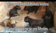 Nao tem nome