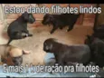 Nao tem nome