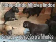 Nao tem nome