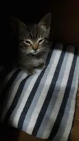 Tom