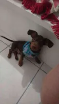 Boby