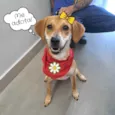 Lili
