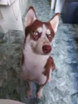 Jack