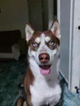 Jack