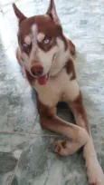 Jack