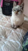 Linda