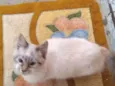 Linda