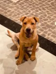 Frida