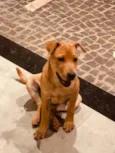 Frida