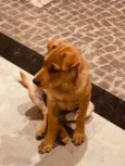 Frida