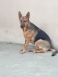 Pandora
