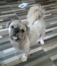 CHARLES