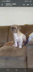 CHARLES