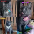 MARIA, MIA e MANU