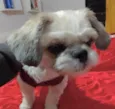 Theo 