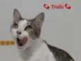 ** Trufa **