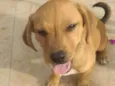 Júnior