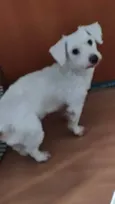 Polar
