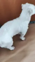 Polar