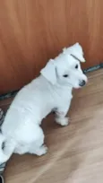Polar