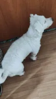 Polar
