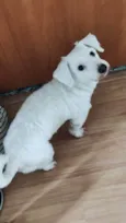 Polar
