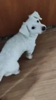 Polar