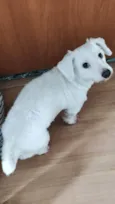 Polar