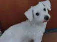 Polar