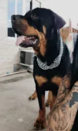 Jade