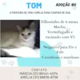 Tom