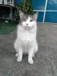 Fiona
