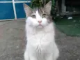 Fiona