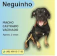 Neguinho