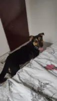 Fred