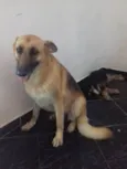 Pastora