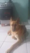 Pastora