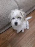 Théo 