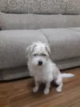 Théo 