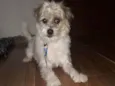 Théo 